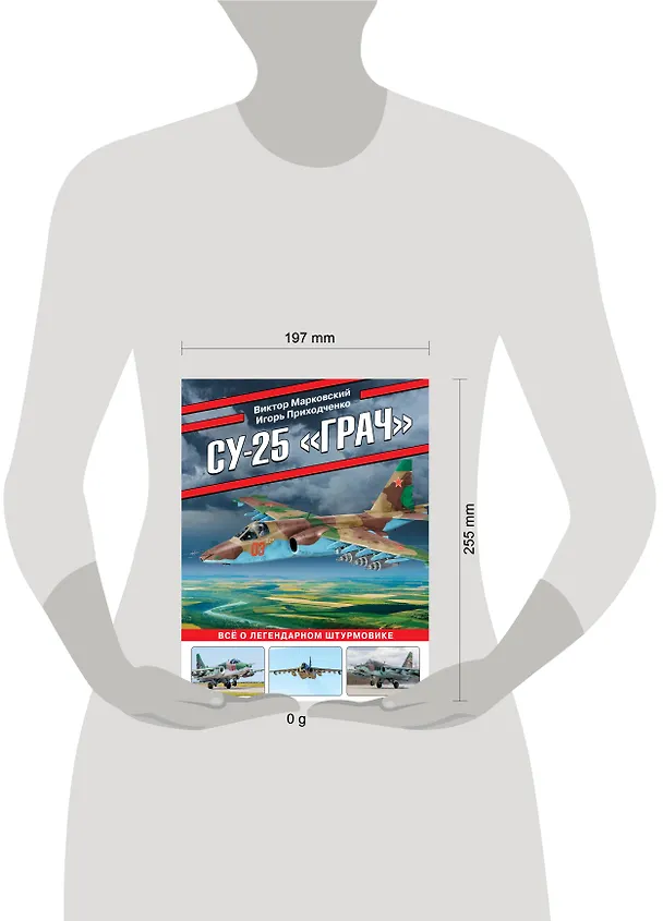 Книга Су-25 «Грач». Все о легендарном штурмовике (Виктор Марковский, Игорь Приходченко) — 5