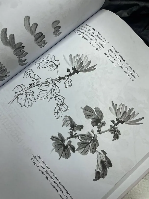 Книга Основы японской живописи суми-э (Наталия Безвуляк) — 12