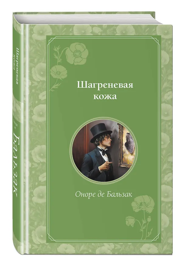 Книга Шагреневая кожа (Оноре де Бальзак) — 6
