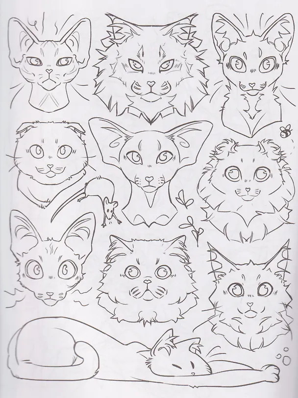 Книга Раскрась кота! (GrayPillow) — 12