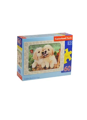 Пазл Castorland MIDI Щенки ретривера 60эл. В-06786 2472180