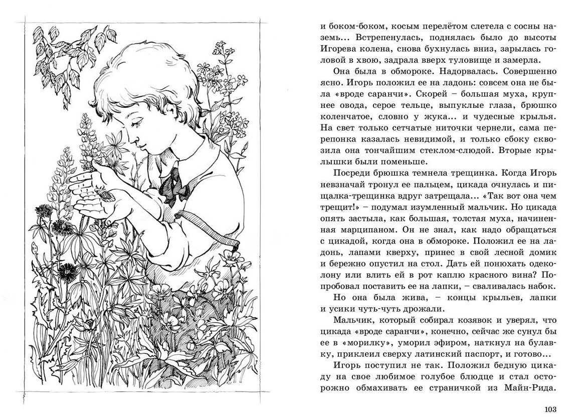 Изображение бумажной книги