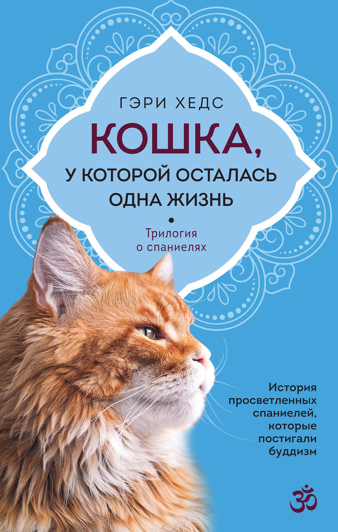 

Кошка, у которой осталась одна жизнь