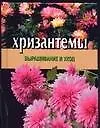 Хризантемы.Выращивание и уход