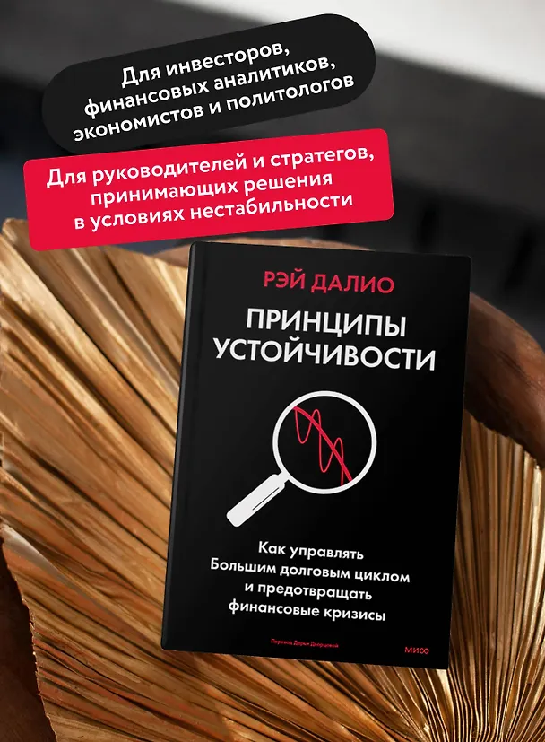 Книга Принципы устойчивости. Как управлять Большим долговым циклом и предотвращать финансовые кризисы (Рэй Далио) — 6