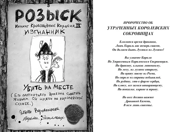 Книга Как приручить дракона. Книга 10. Как отыскать Драконий Камень (Крессида Коуэлл) — 6