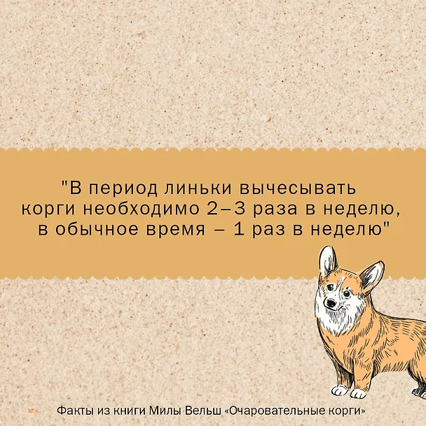 Книга Очаровательные корги: походка, которая вдохновляет! (Мила Вельш) — 8
