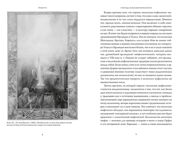 Книга Кельты. Мифология, сформировавшая наше сознание (Марк Уильямс) — 6