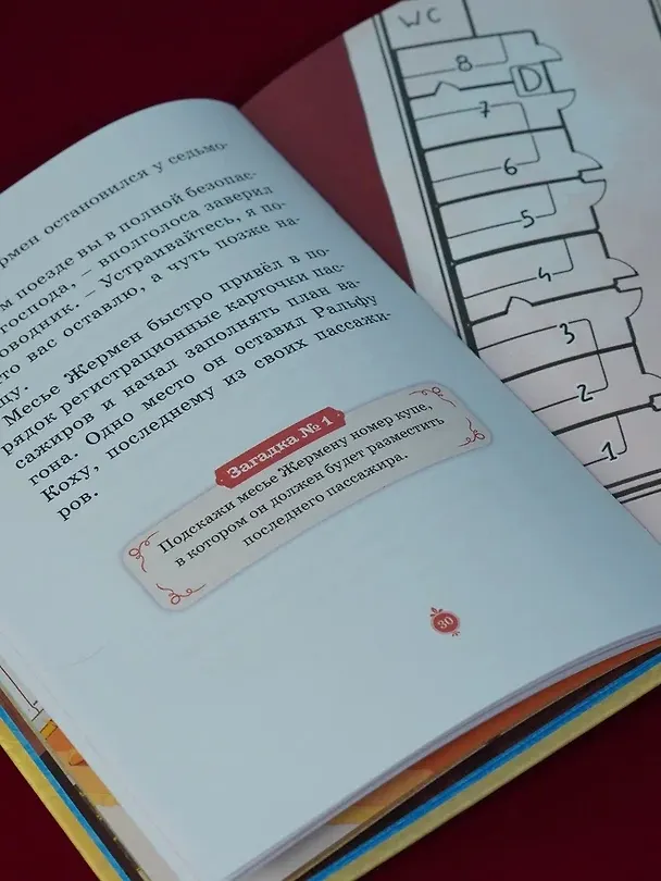 Книга Скандал в «Восточном экспрессе». Дело №3 (Кристина Паллюи) — 14