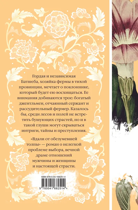 Книга Набор "Коллекция элегантной классики" (из 5-ти романов: Джейн Эйр, Вдали от обезумевшей толпы, Маленькая хозяйка Большого дома, Грозовой перевал, Маленькие женщины) () — 14