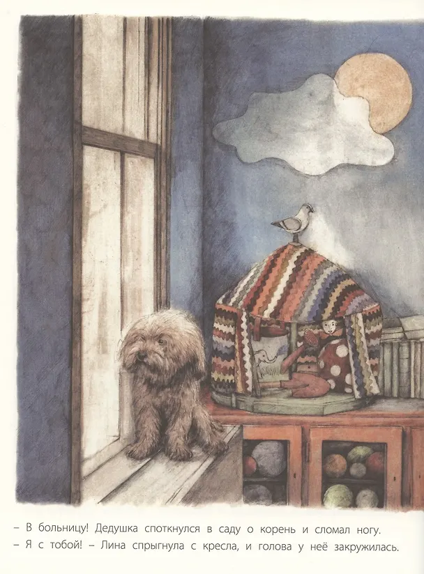 Книга Дедушкин сад (Соня Дановски) — 4