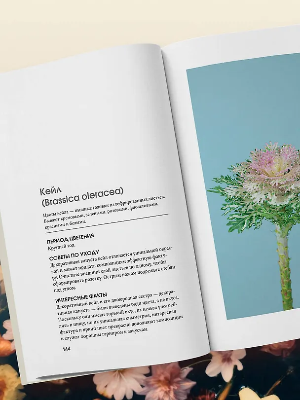Книга Цветы для букета. Справочник срезанных цветов для начинающего флориста. Что и когда покупать и как продлить цветам жизнь (Калверт Крари, Брюс Литтлфилд) — 14