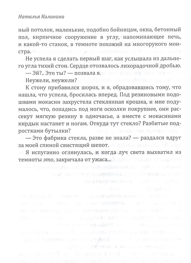 Книга Врата полуночи (Наталья Калинина) — 4