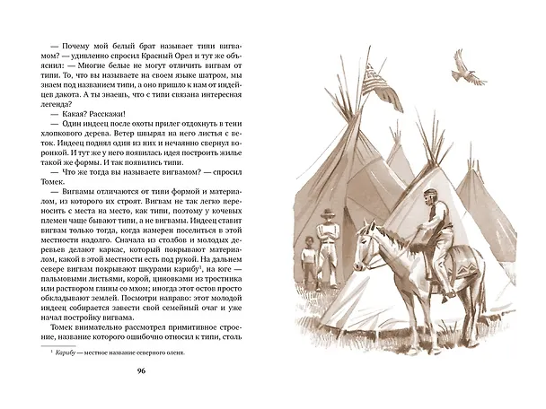 Книга Томек на тропе войны (Альфред Шклярский) — 12