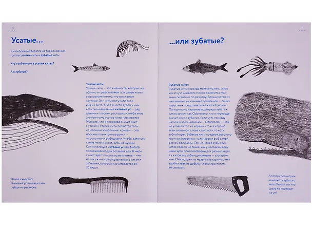 Книга Книга о китах () — 5