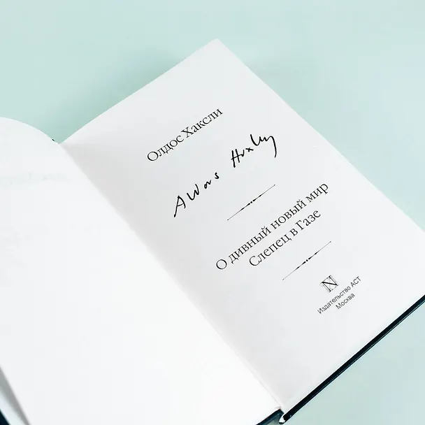 Книга О дивный новый мир. Слепец в Газе (Олдос Леонард Хаксли) — 10