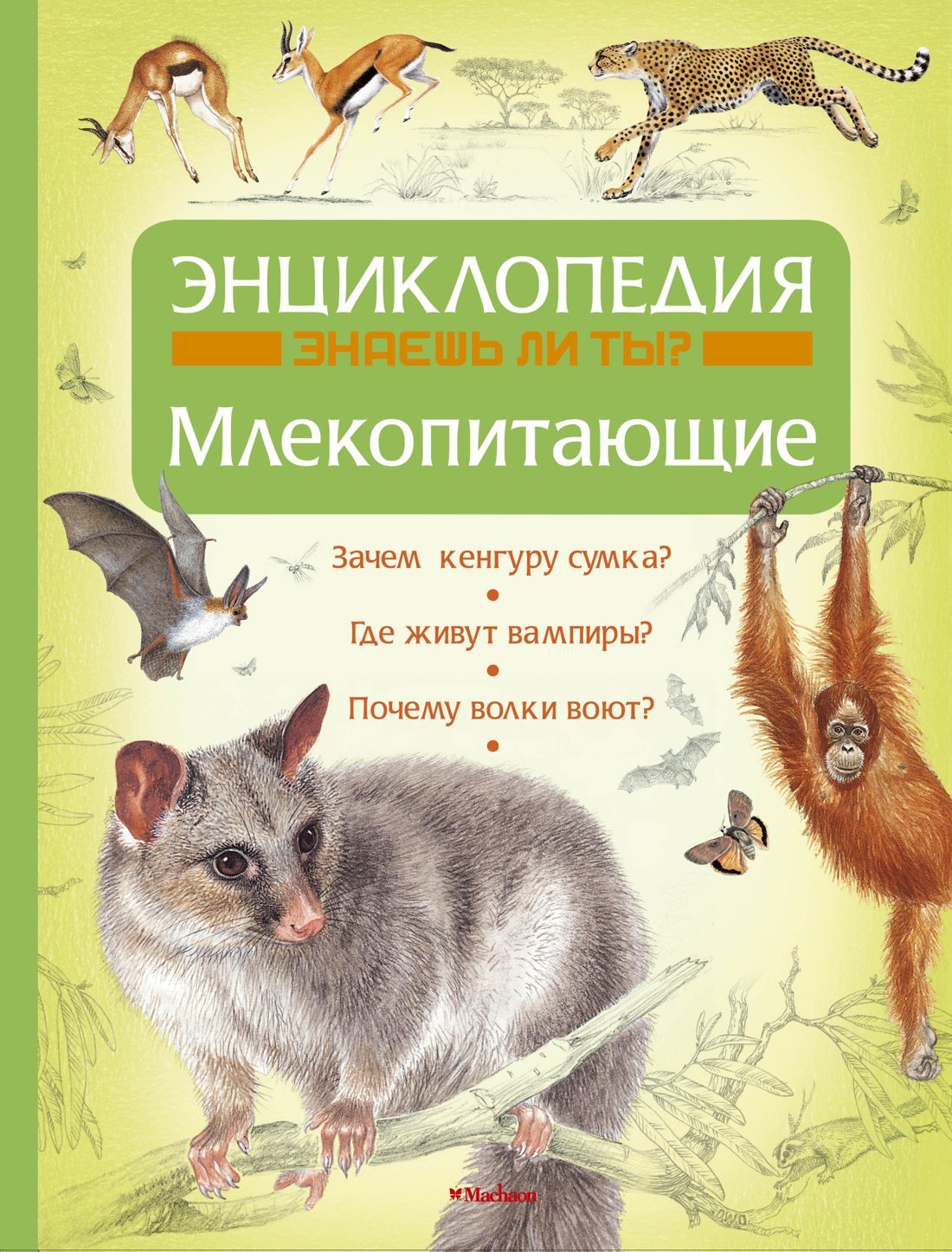 

Млекопитающие