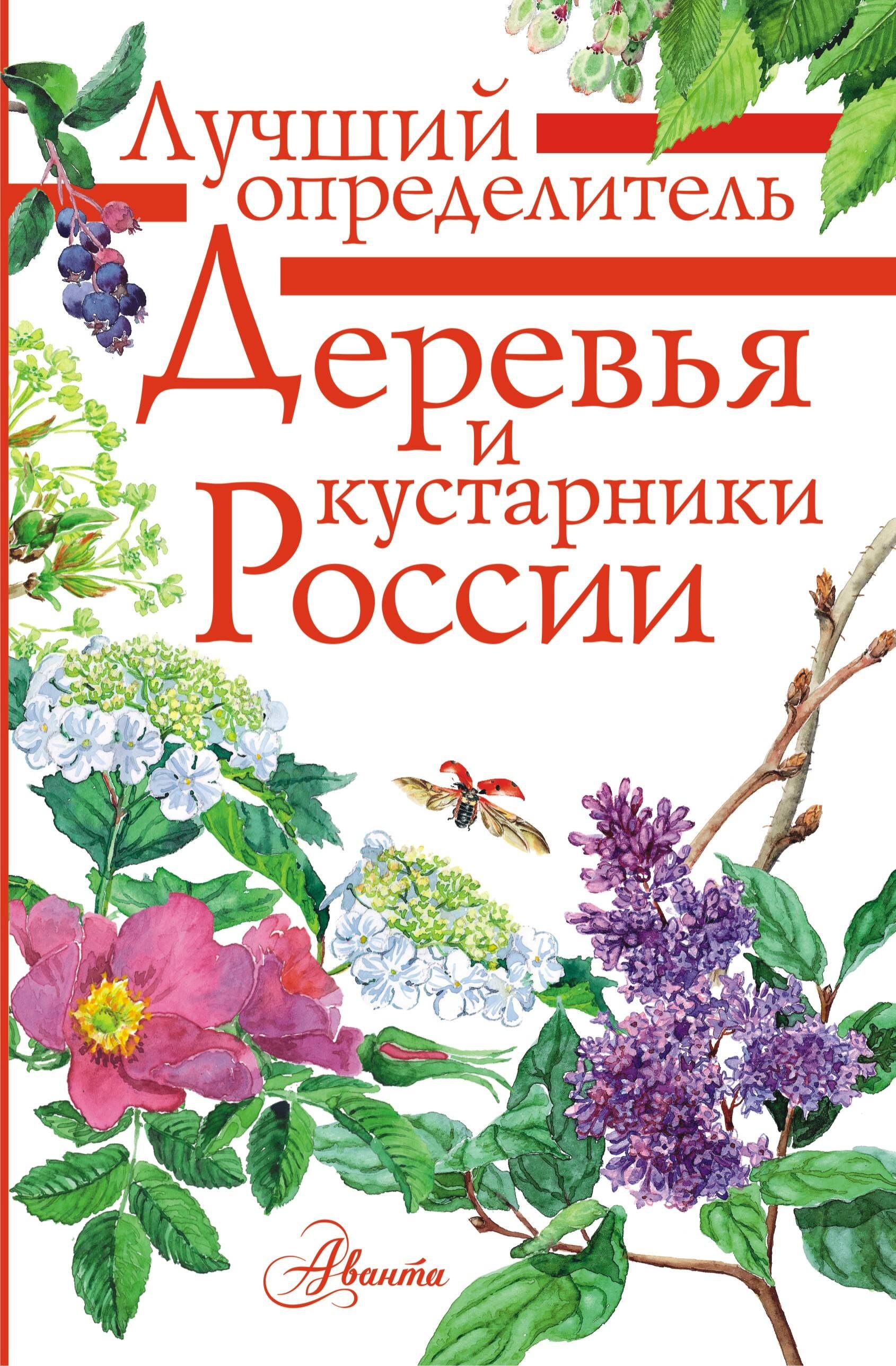 

Деревья и кустарники России. Определитель