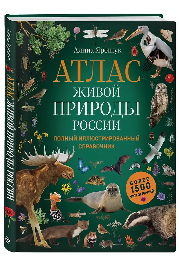Книга Атлас живой природы России. Полный иллюстрированный справочник (Алина Ярощук) — 5
