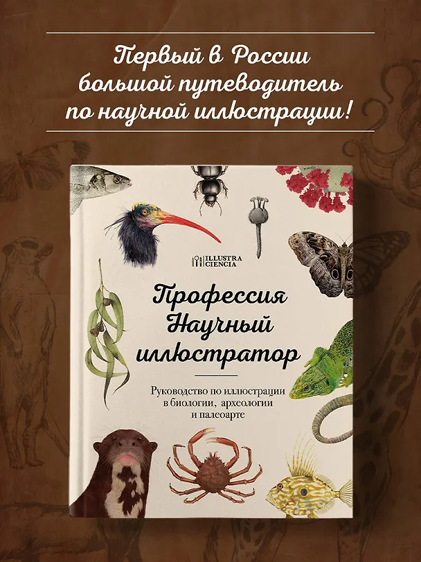 Книга Профессия — Научный иллюстратор. Руководство по иллюстрации в биологии, археологии и палеоарте () — 6