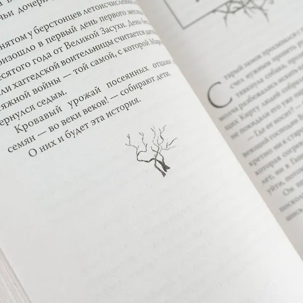 Книга Первенцы (Дарья Чернышова) — 10