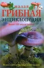 Малая грибная энциклопедия — 2207554 — 1