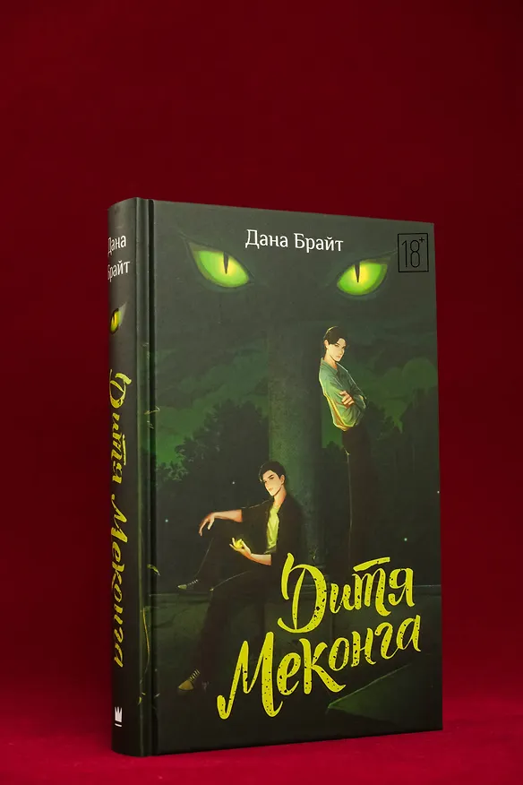 Книга Дитя Меконга (Дана Брайт) — 8