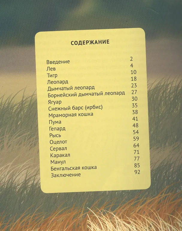 Книга Дикие кошки (Михаил Савостин) — 2