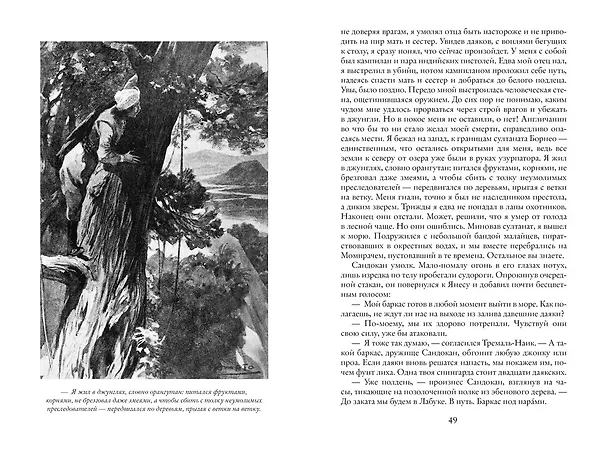 Книга Возмездие Сандокана. Возвращение Момпрачема (Эмилио Сальгари) — 16