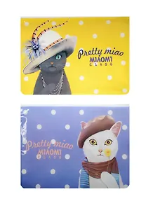 Папка на молнии B5 "Pretty cats", пластик, Languo