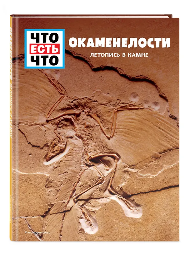Книга ОКАМЕНЕЛОСТИ. Летопись в камне (Манфред Баур) — 4