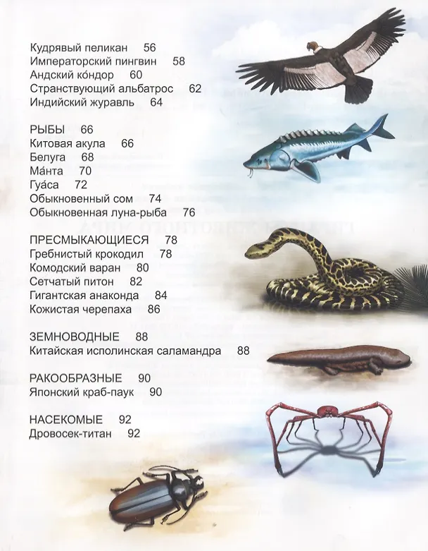 Книга Гиганты животного мира. Энциклопедия () — 3