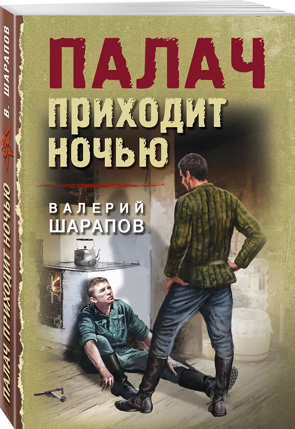 Книга Палач приходит ночью (Валерий Шарапов) — 5