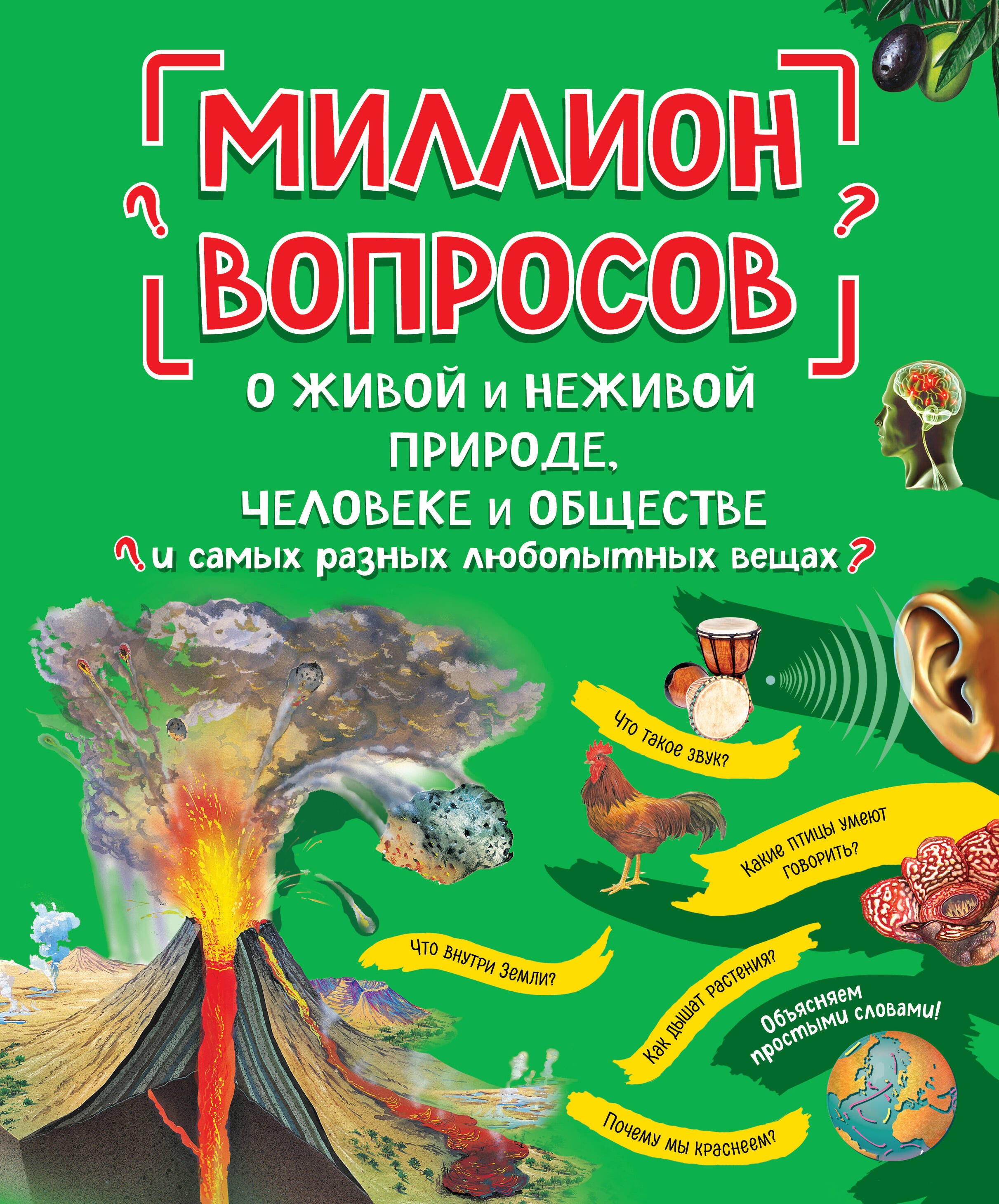 

Миллион вопросов о живой и неживой природе, человеке и обществе и самых разных любопытных вещах