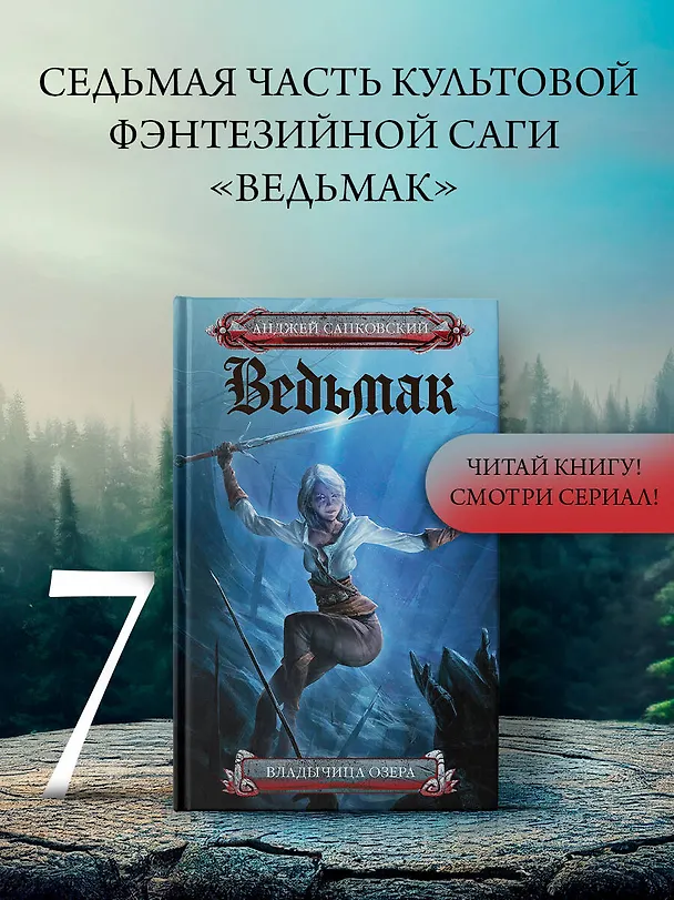 Книга Владычица озера (Анджей Сапковский) — 4