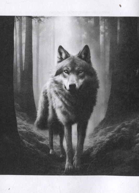 Изображение бумажной книги