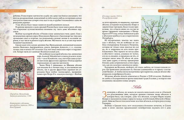 Книга Русский сад и огород. Занимательная история плодов и овощей (Николай Золотницкий) — 8