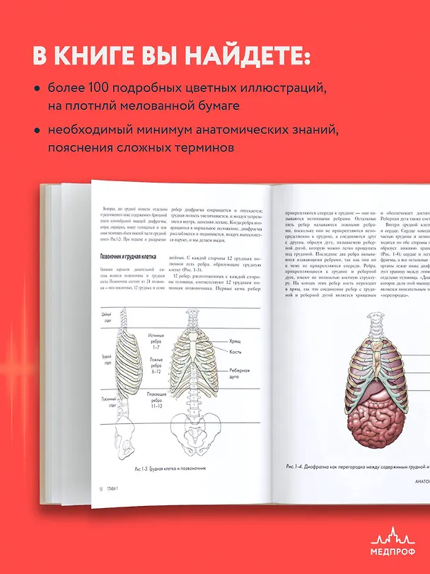 Книга Анатомия голоса. Иллюстрированное руководство для певцов, преподавателей по вокалу и логопедов (Теодор Даймон) — 7
