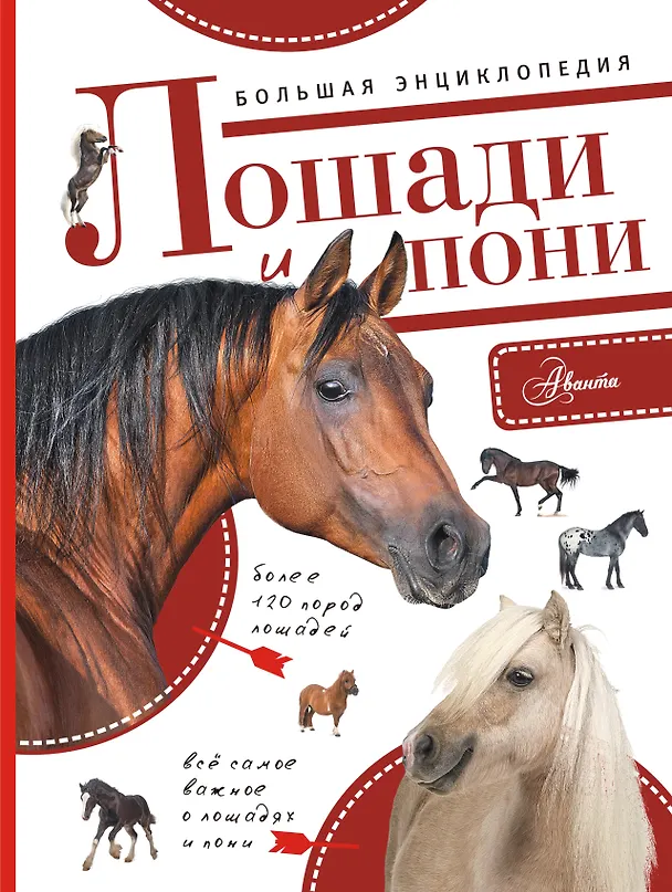 Книга Большая энциклопедия. Лошади и пони () — 1