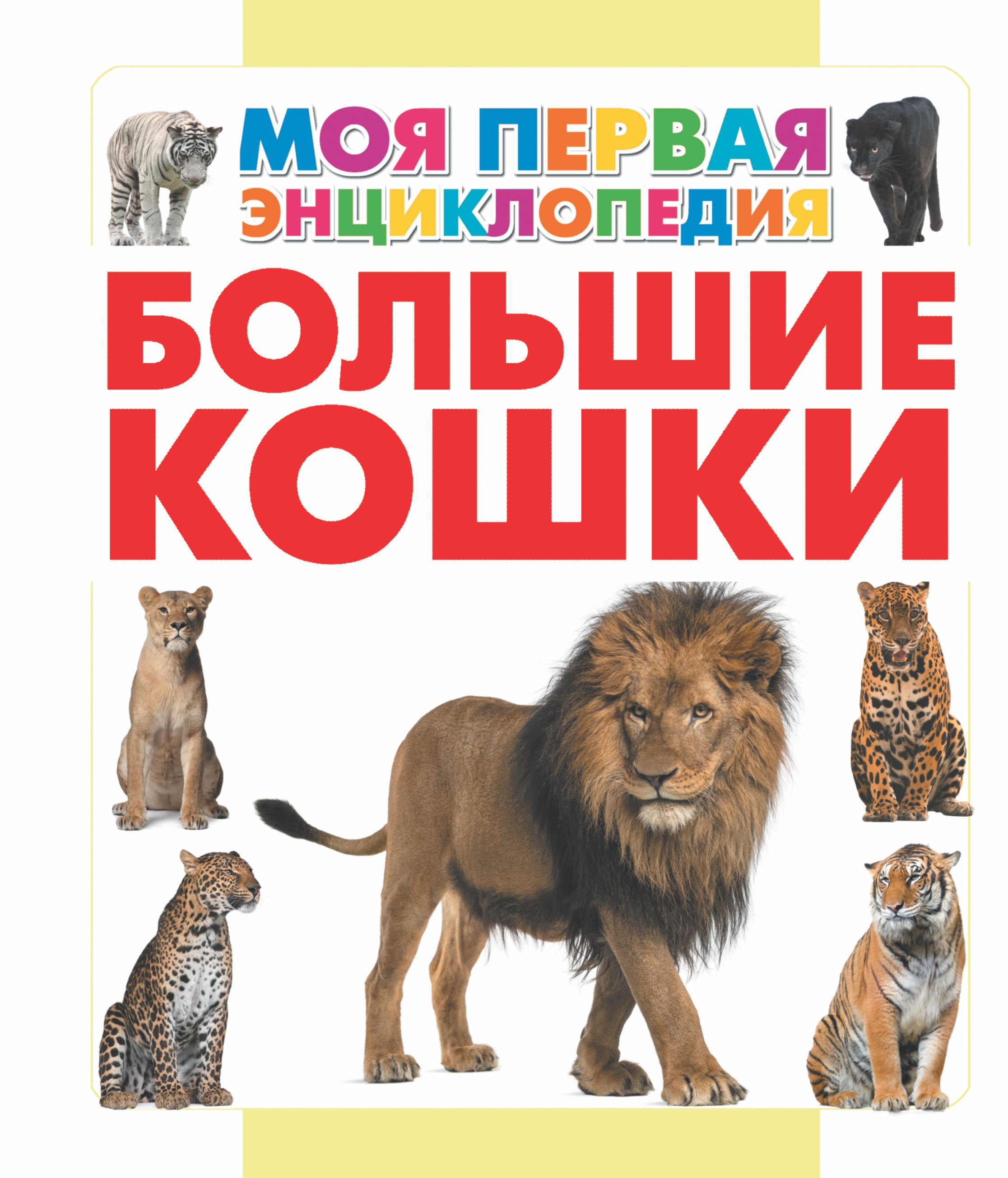 

Большие кошки