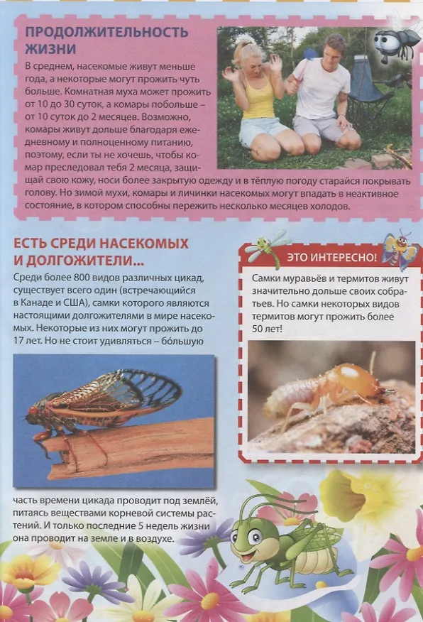 Книга Мир насекомых () — 4