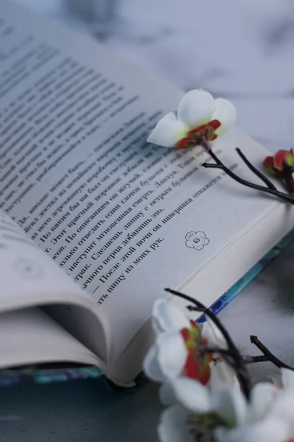 Книга Частная медицина. Новелла (Ирина Сон) — 15