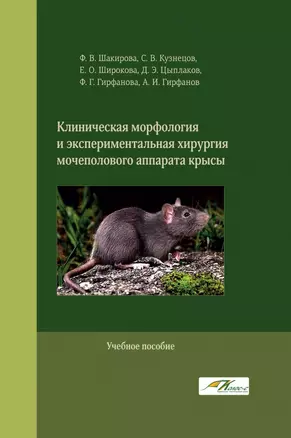 Клиническая морфология и экспериментальная хирургия мочеполового аппарата крысы — 2935064 — 1