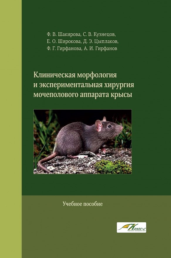 Книга Клиническая морфология и экспериментальная хирургия мочеполового аппарата крысы (Сергей Кузнецов, Фаина Шакирова, Елена Широкова) — 1