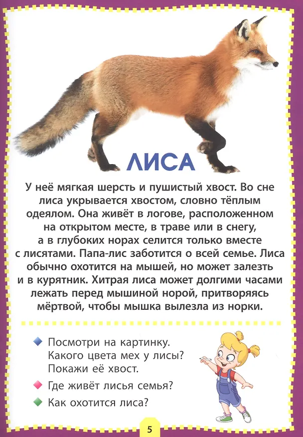 Книга Лесные животные. Фотокнига для самых маленьких () — 5