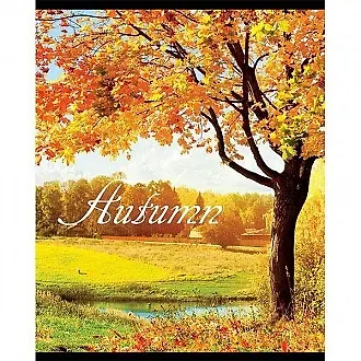 Тетрадь 96л кл. "Времена Года" глянц.ламинация, ассорти, schoolФОРМАТ 229375 — 1