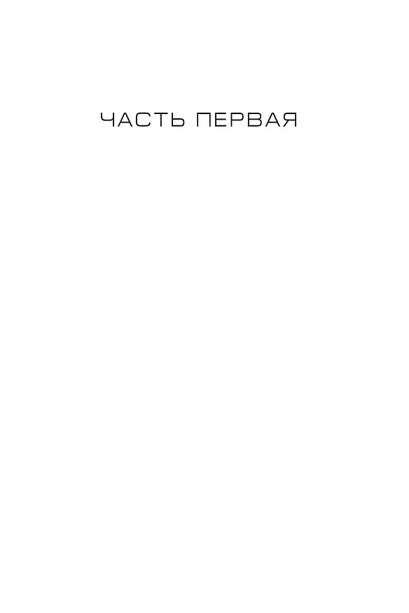 Книга Снеговик (Ю Несбё) — 9