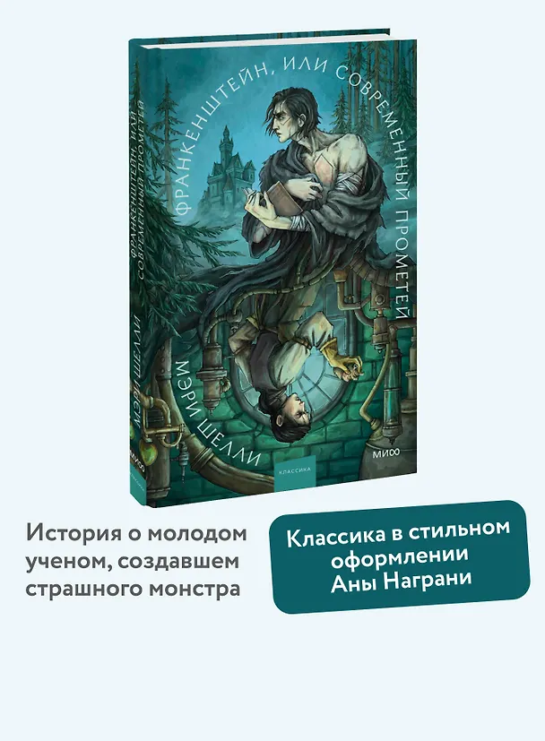 Книга Франкенштейн, или Современный Прометей. Коллекция Аны Награни (Мэри Шелли) — 5