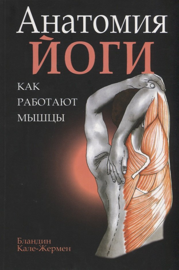 

Анатомия йоги: как работают мышцы