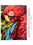 Алмазная мозаика "Попугай Ара", 30х40 см — 2956198 — 1